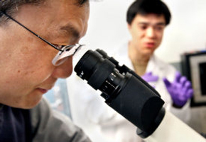 Associate's Degree in Chemistry Associate's Degree in Chemistry