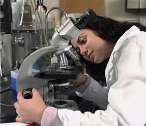 Chemical Engineering Degree Chemical Engineering Degree