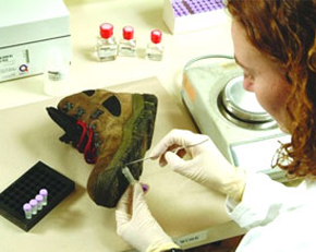 Forensic Chemistry Degree Forensic Chemistry Degree