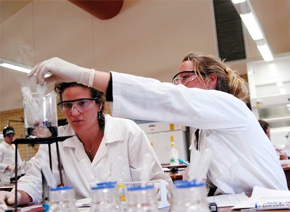 University Of Michigan Degree in Chemistry University Of Michigan Degree in Chemistry