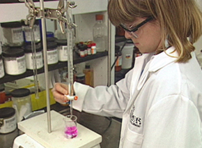 University Of Washington Degree in Chemistry University Of Washington Degree in Chemistry